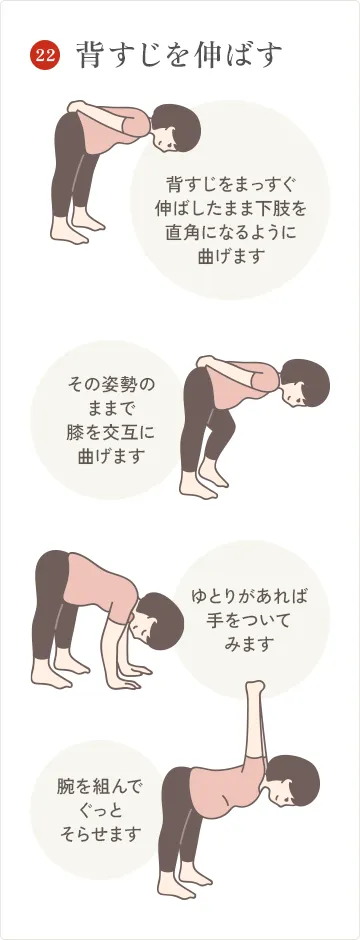 背すじを伸ばす