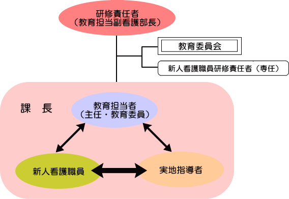 研修体制